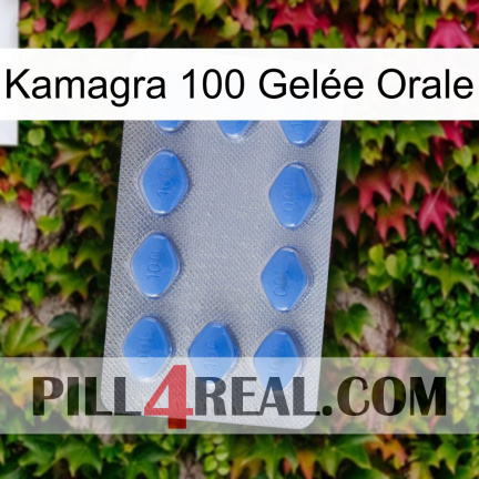 Kamagra 100 Gelée Orale 21